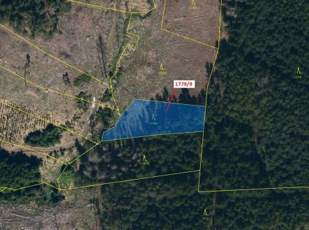 Prodej - pozemek, les, 1 388 m²