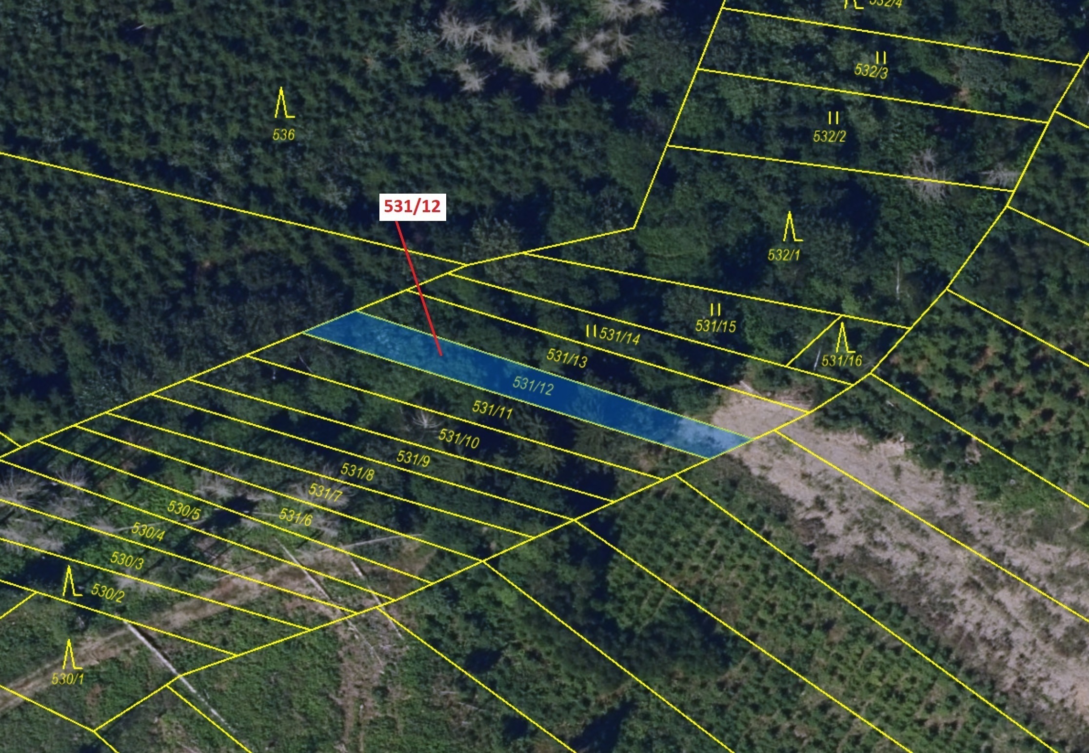 Lesní pozemek o výměře 281 m2, podíl 1/1, katastrální území Mírovka, obec Havlíčkův Brod, obec s roz