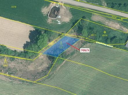 Prodej - pozemek, les, 301 m²