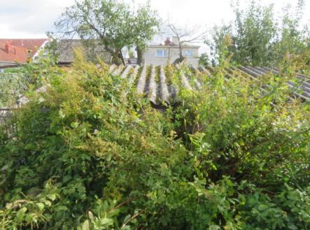 Prodej - pozemek, zahrada, 294 m²