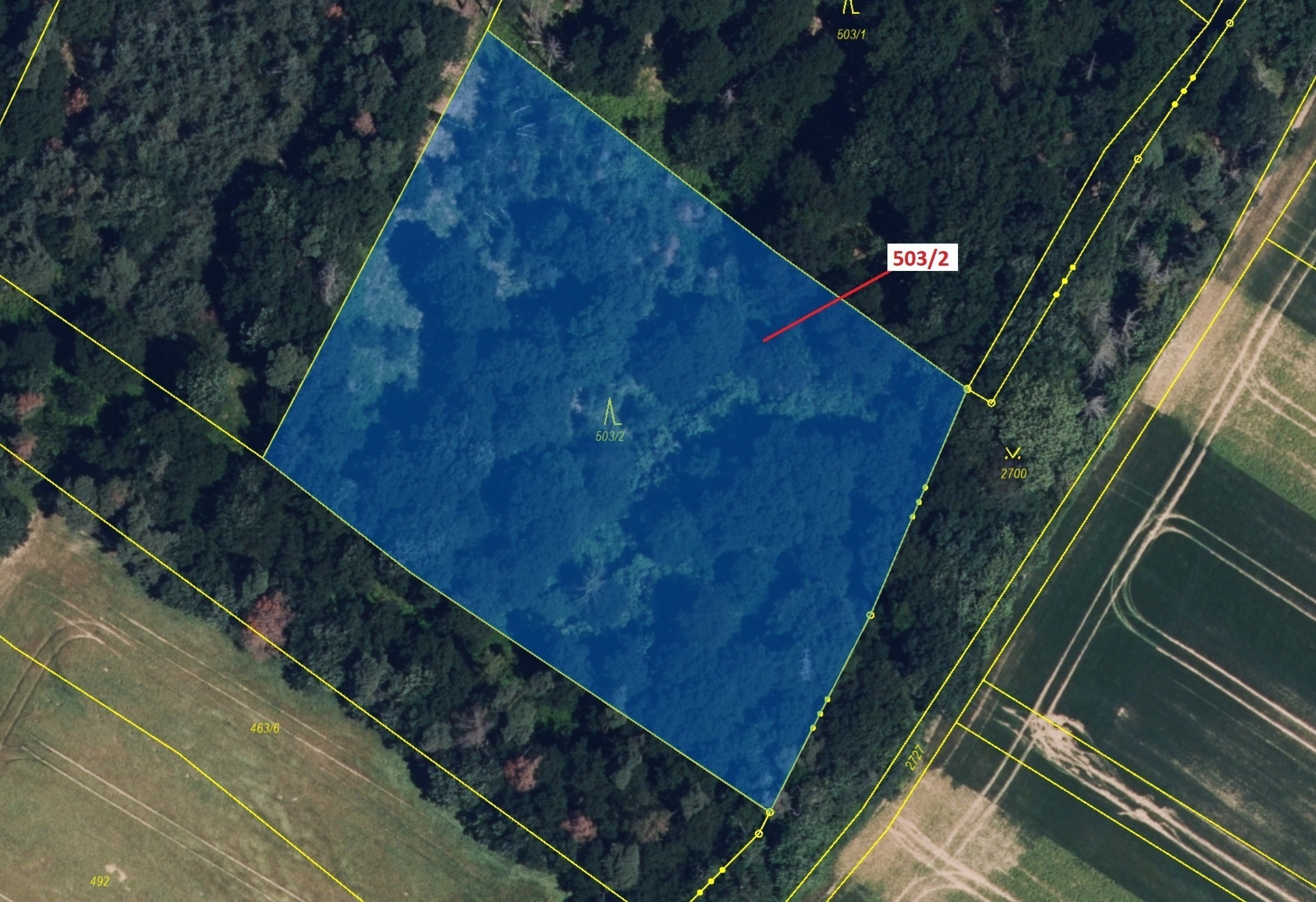 Lesní pozemek o výměře 6 942 m2, podíl 1/1, katastrální území Přemyslovice, obec Přemyslovice, obec 