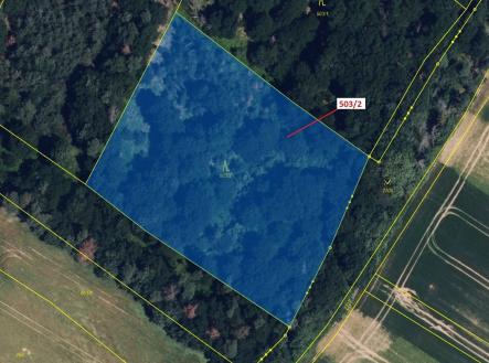 Prodej - pozemek, les, 6 942 m²