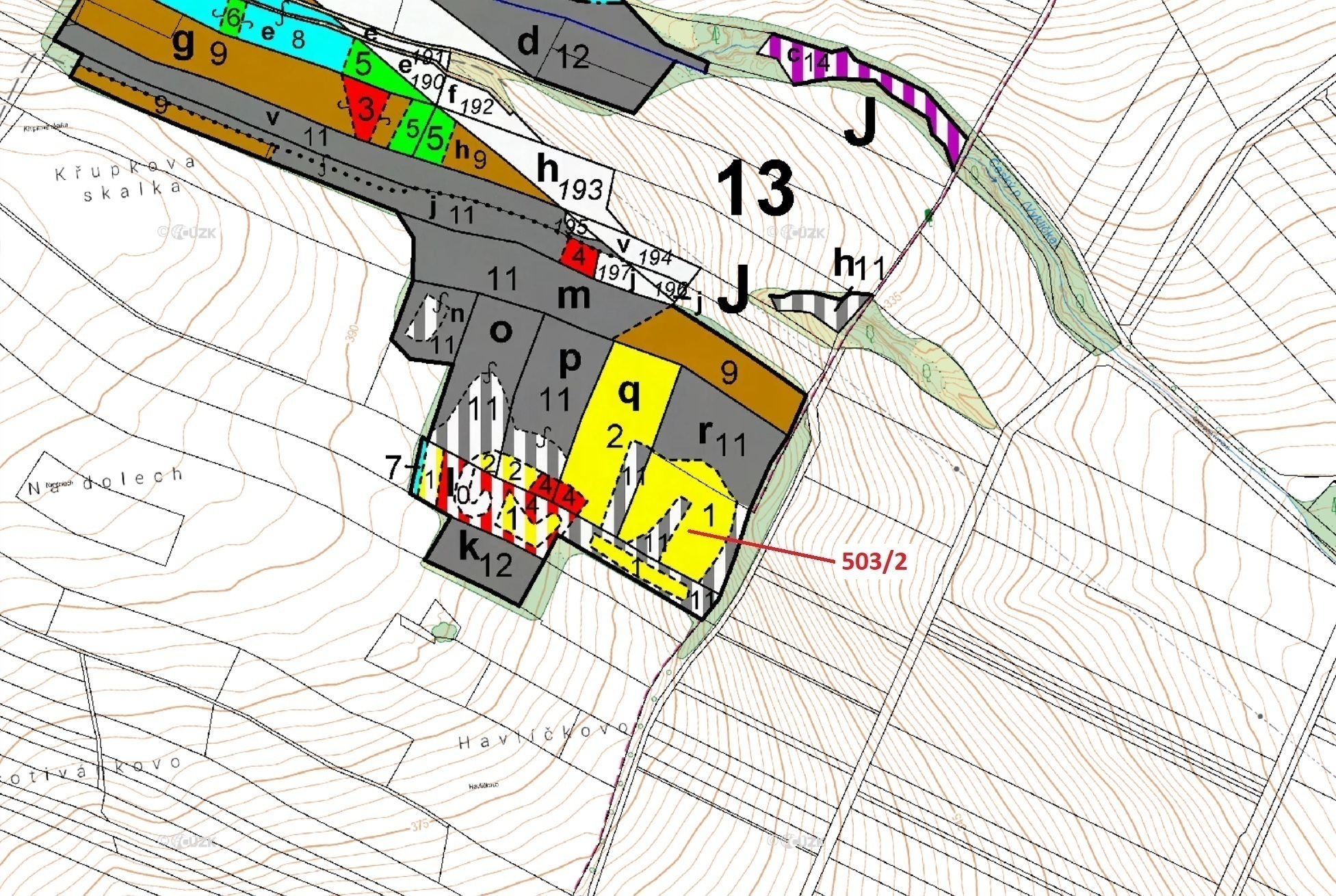 Lesní pozemek o výměře 6 942 m2, podíl 1/1, katastrální území Přemyslovice, obec Přemyslovice, obec 