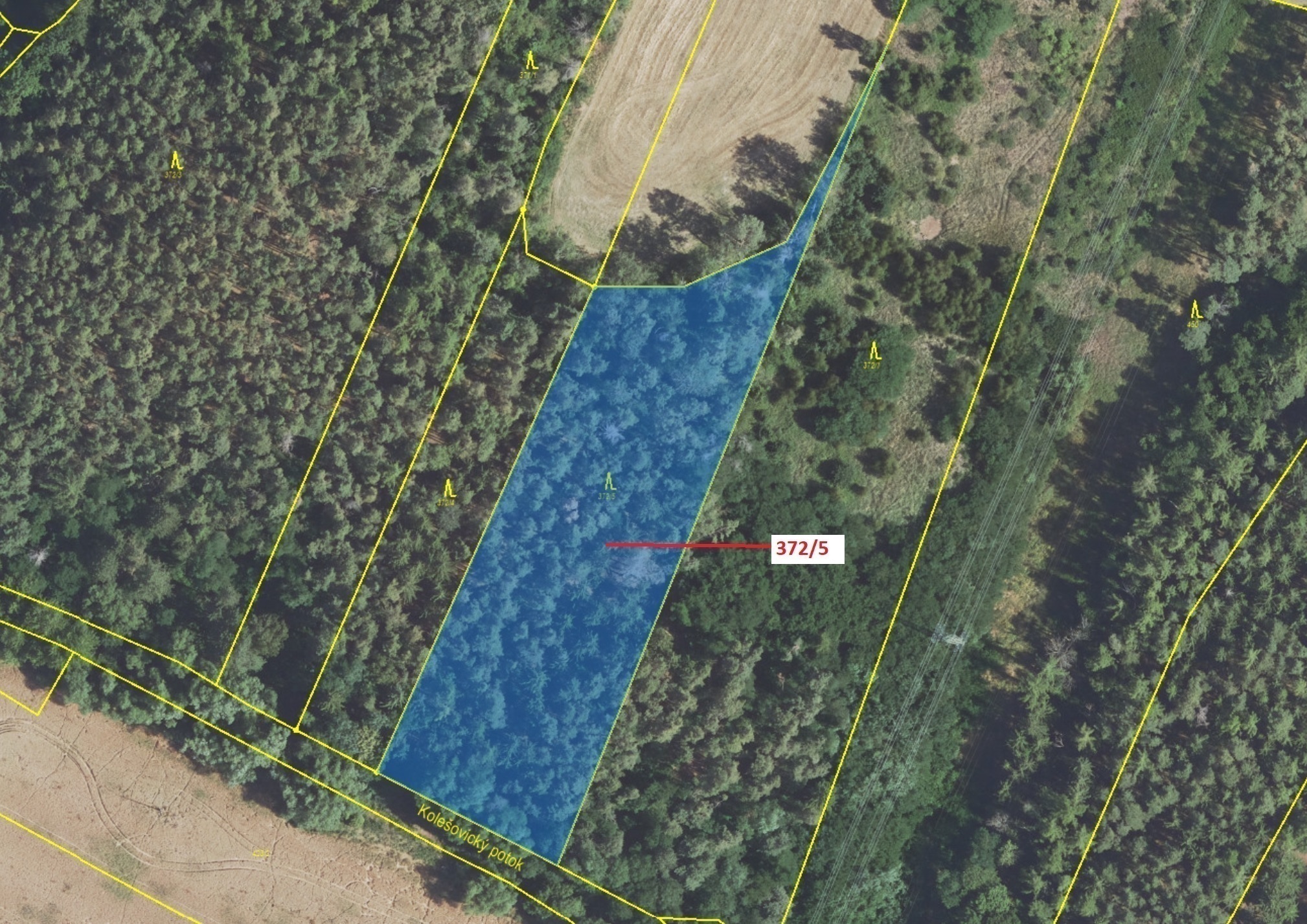 Lesní pozemek o výměře 7 060 m2, podíl 1/1, katastrální území Přílepy, obec Přílepy, obec s rozšířen