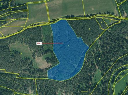 Prodej - pozemek, les, 25 896 m²