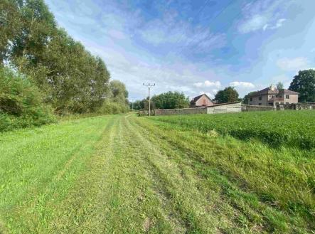 Prodej - pozemek, trvalý travní porost, 6 901 m²