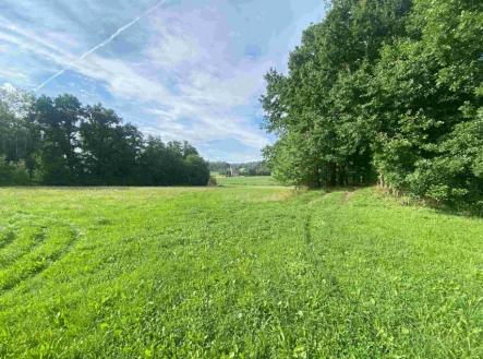 Prodej - pozemek, trvalý travní porost, 6 901 m²
