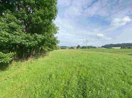 Prodej - pozemek, trvalý travní porost, 6 901 m²