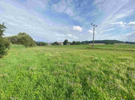 Prodej - pozemek, trvalý travní porost, 6 901 m²