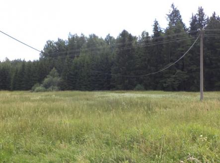 Prodej - pozemek, trvalý travní porost, 13 137 m²