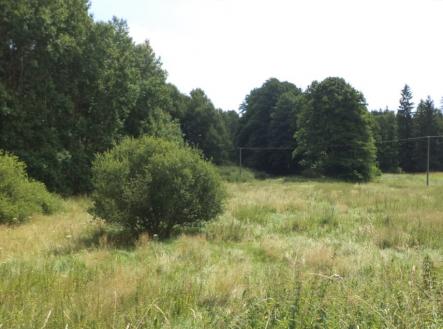 Prodej - pozemek, trvalý travní porost, 13 137 m²