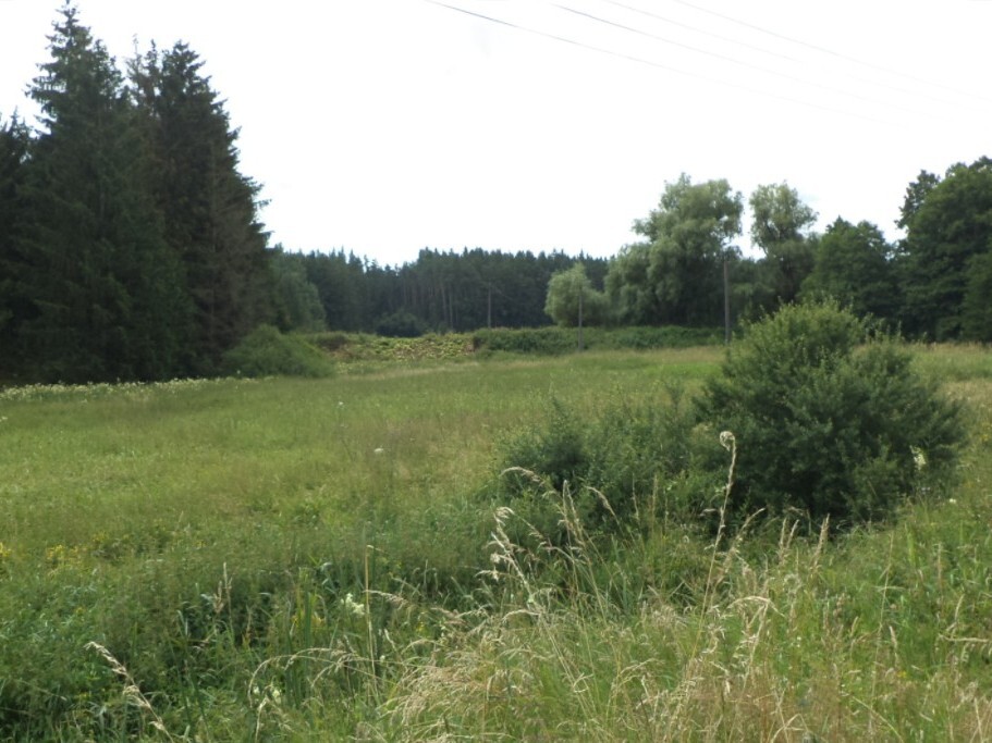 Pozemek o velikosti 13137m2, Nahý Újezdec