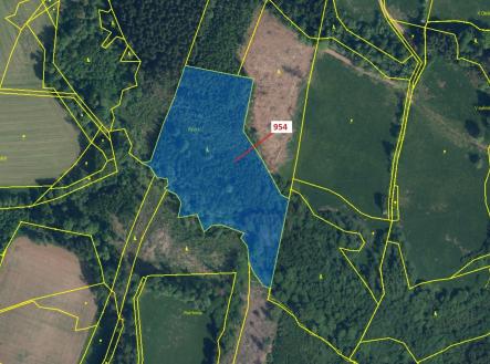 Prodej - pozemek, les, 20 539 m²
