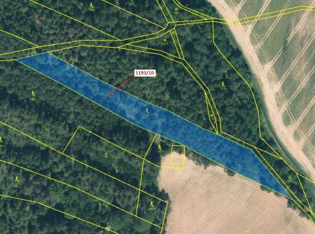 Prodej - pozemek, les, 4 694 m²