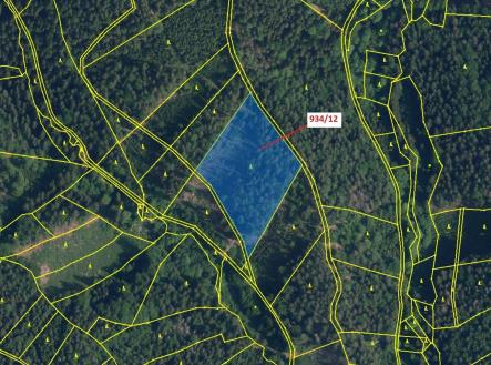 Prodej - pozemek, les, 10 166 m²