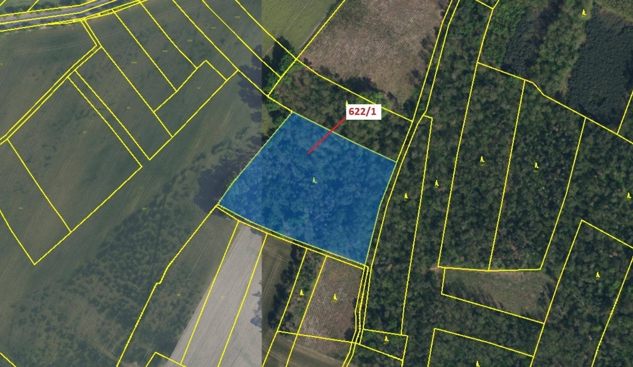 Lesní pozemek o výměře 12 017 m2, podíl 1/1, katastrální území Bernardov, obec Bernardov, obec s roz