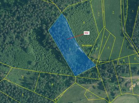 Prodej - pozemek, les, 7 006 m²