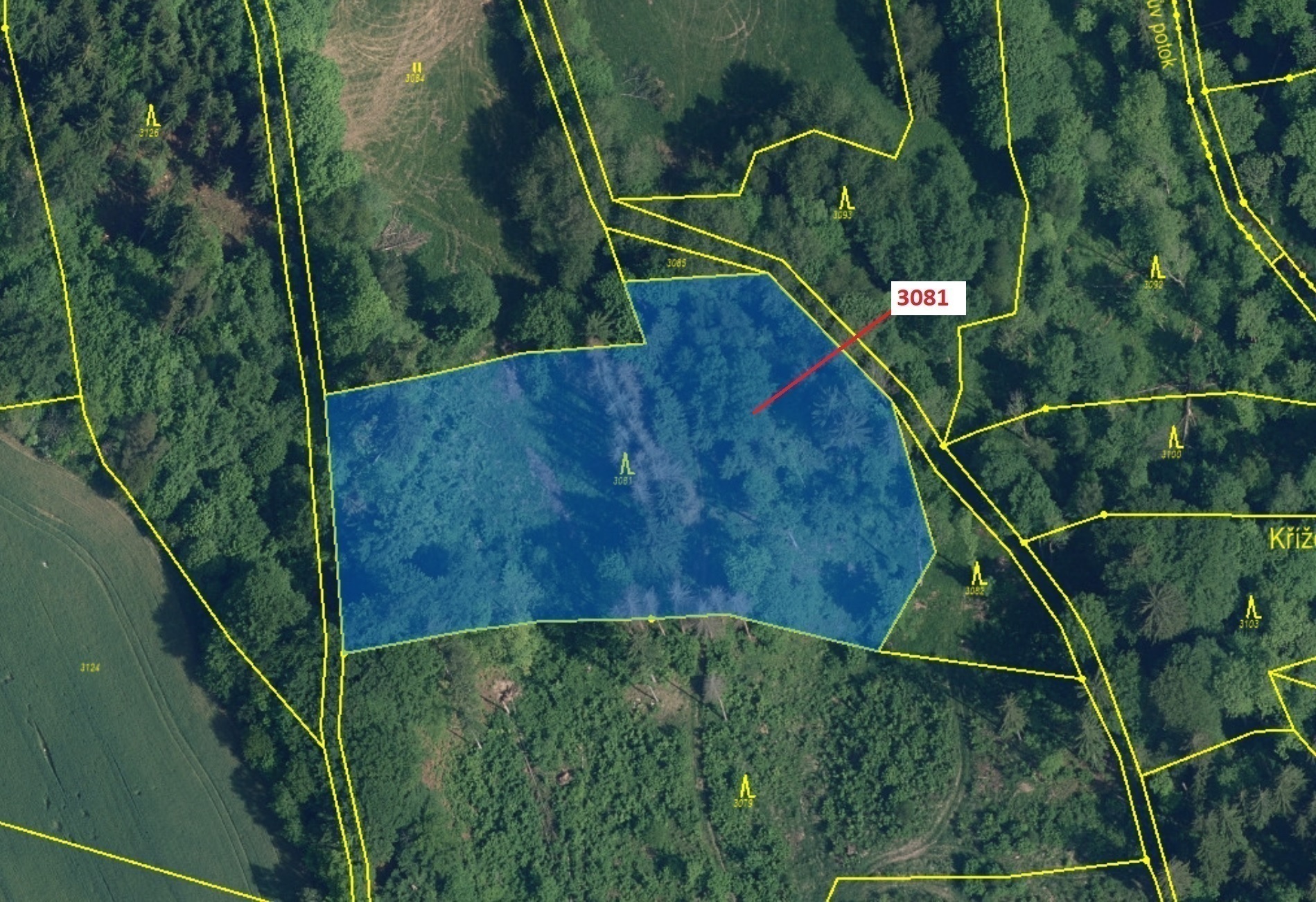 Lesní pozemek o výměře 6 213 m2, podíl 1/1, katastrální území Benešov u Semil, obec Benešov u Semil,