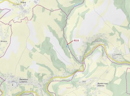 Prodej - pozemek, les, 2 958 m²