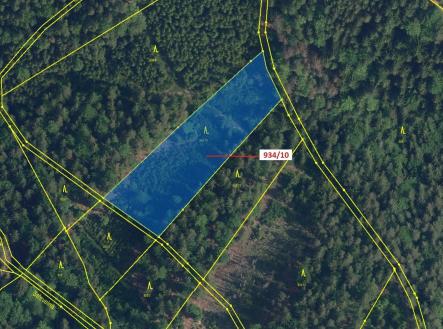 Prodej - pozemek, les, 4 305 m²