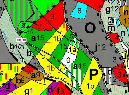 Prodej - pozemek, les, 4 305 m²