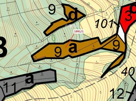 Prodej - pozemek, les, 2 438 m²