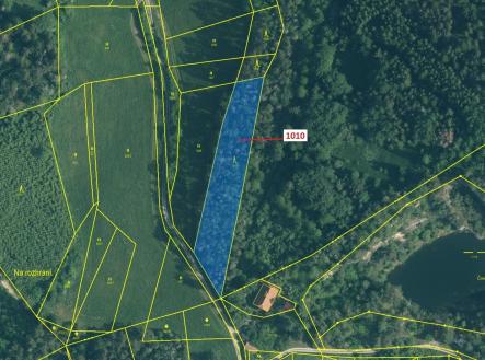 Prodej - pozemek, les, 3 054 m²