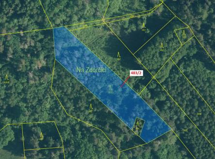 Prodej - pozemek, les, 2 895 m²