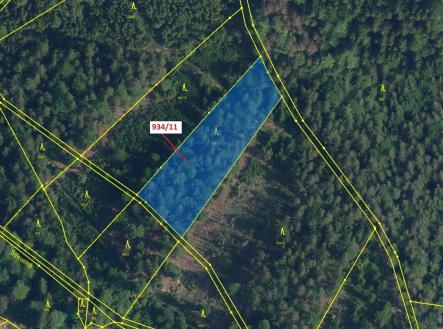 Prodej - pozemek, les, 3 439 m²