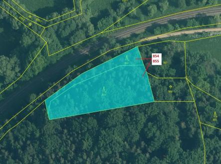 Prodej - pozemek, les, 2 561 m²