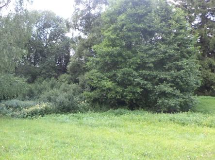 Prodej - pozemek, trvalý travní porost, 5 224 m²