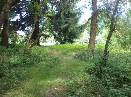 Prodej - pozemek, trvalý travní porost, 5 224 m²