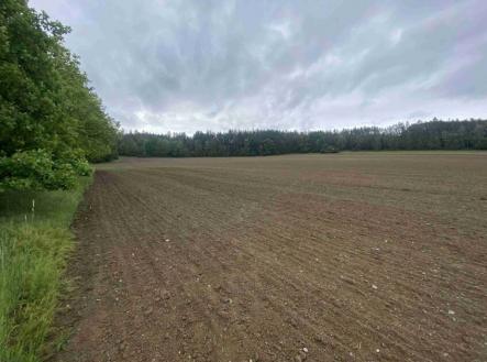 Prodej - pozemek, zemědělská půda, 22 823 m²