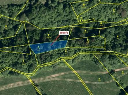 Prodej - pozemek, les, 680 m²