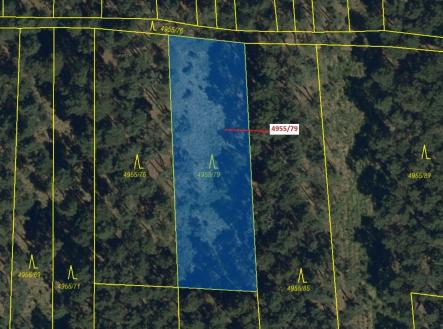 Prodej - pozemek, les, 1 662 m²