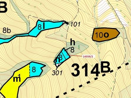 Prodej - pozemek, les, 605 m²