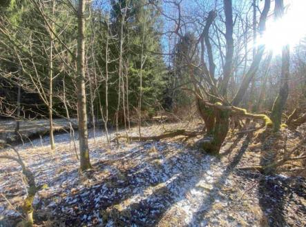 Prodej - pozemek, ostatní, 10 377 m²