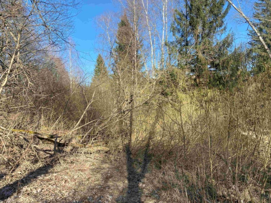 Pozemek o velikosti 10377m2, Javorná na Šumavě