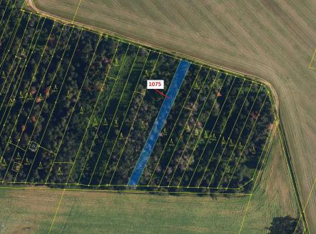 Prodej - pozemek, les, 1 134 m²