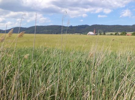 Prodej - pozemek, ostatní, 2 273 m²