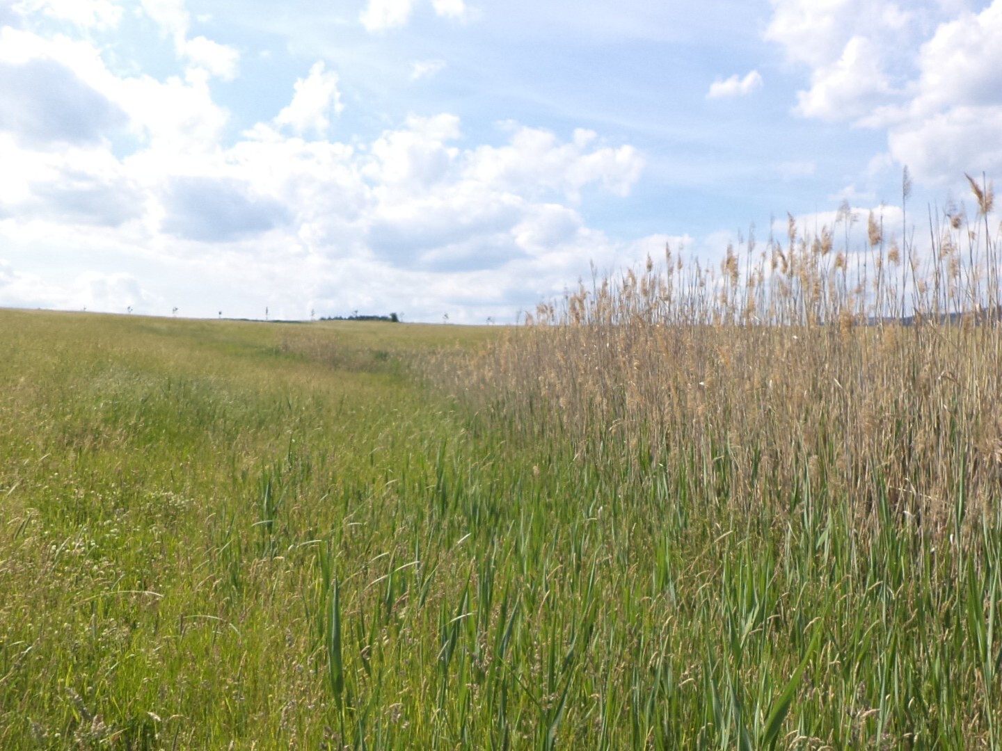 Pozemek o velikosti 2273m2, Vižňov