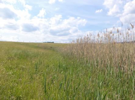 Prodej - pozemek, ostatní, 2 273 m²