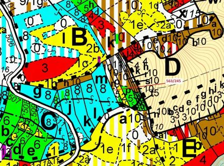 Prodej - pozemek, les, 1 009 m²