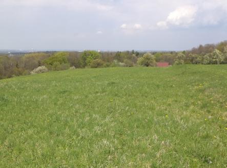 Prodej - pozemek, trvalý travní porost, 6 967 m²