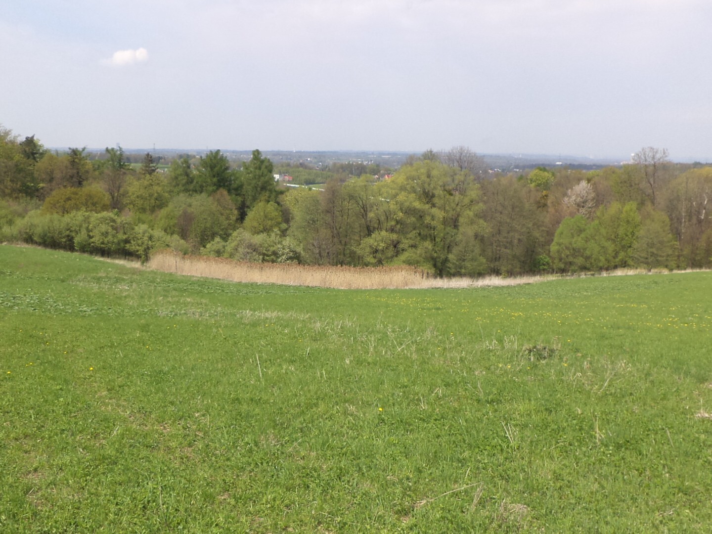 Pozemek o velikosti 6967m2, Chotěbuz