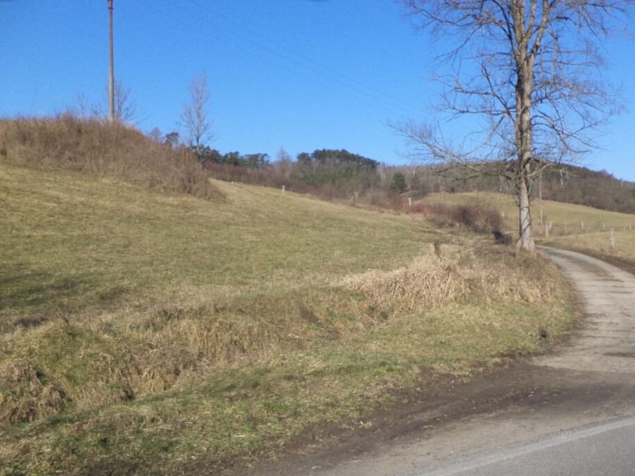 Pozemek o velikosti 4600m2, Rochov u Tetčiněvsi