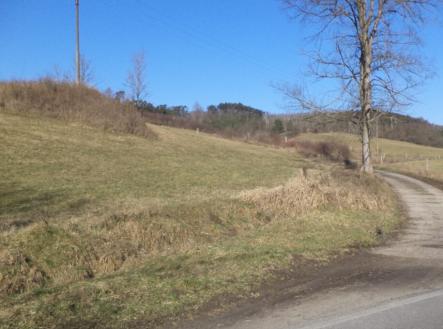 Prodej - pozemek, trvalý travní porost, 4 600 m²