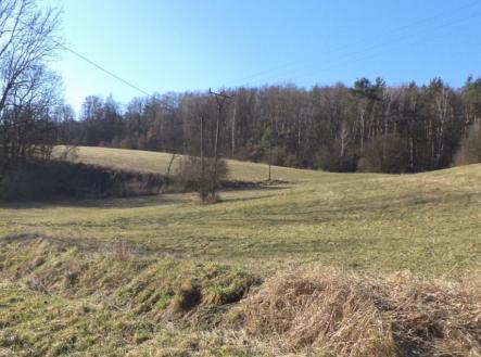 Prodej - pozemek, trvalý travní porost, 4 600 m²