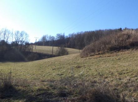 Prodej - pozemek, trvalý travní porost, 4 600 m²