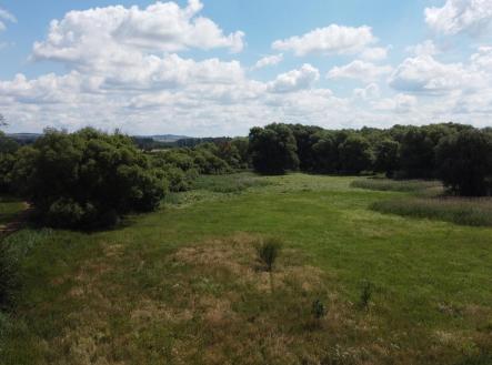 Prodej - pozemek, trvalý travní porost, 2 388 m²